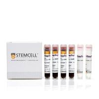 EasySep™ Direct人B细胞分选试剂盒