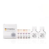 EasySep™ HLA全血B细胞富集试剂盒