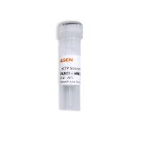 dCTP Solution 脱氧胞苷三磷酸溶液(100mM)