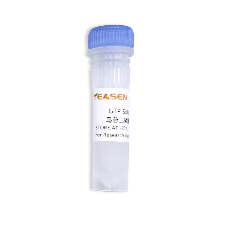 GTP Solution 鸟苷三磷酸溶液（100 mM）
