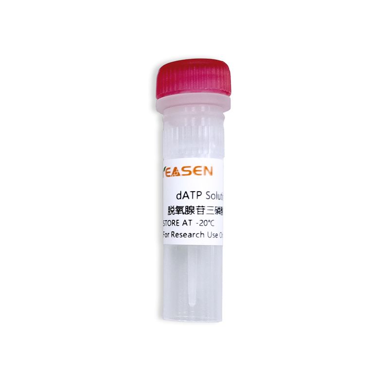 dATP Solution 脱氧腺苷三磷酸溶液(100mM)