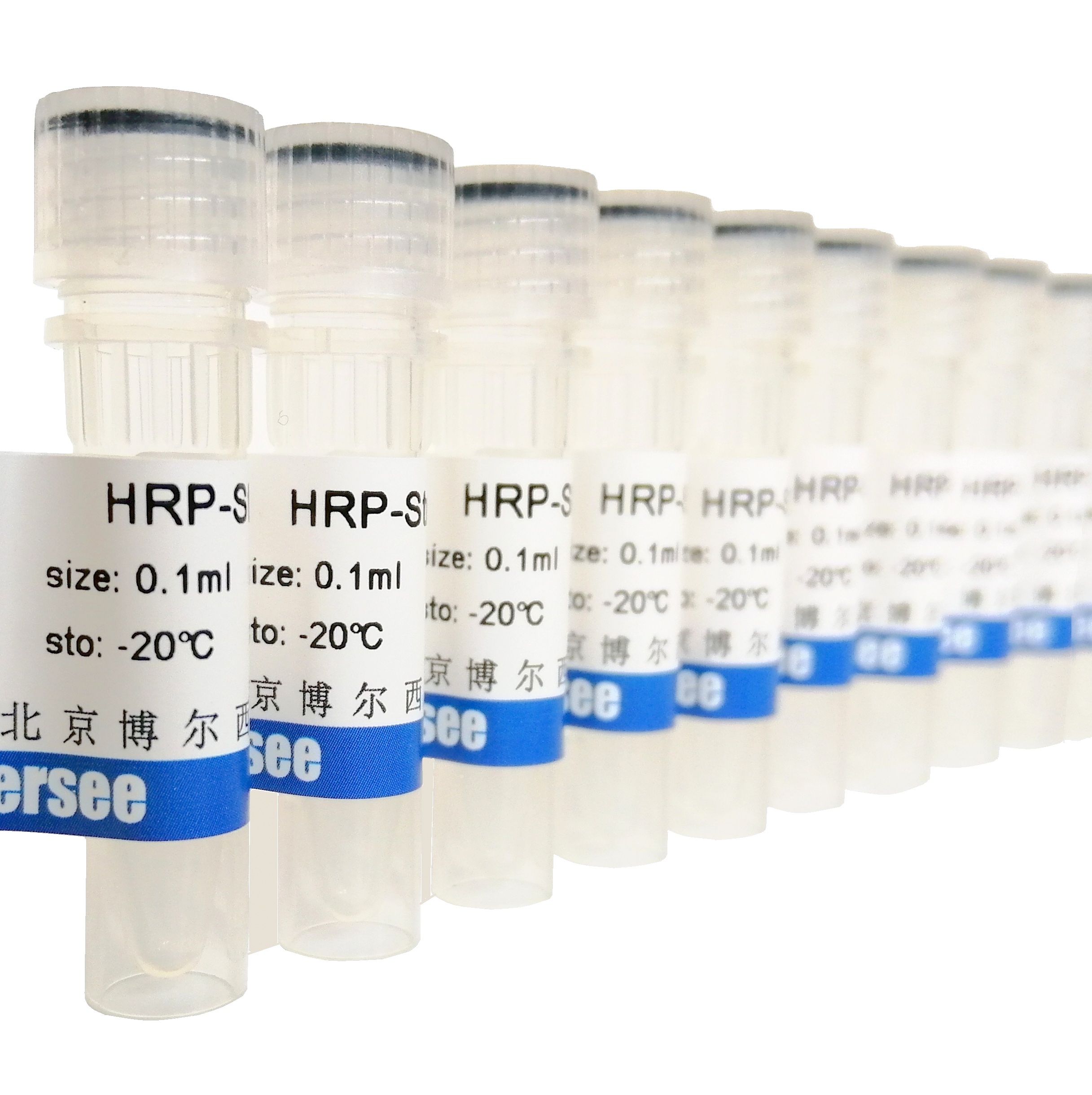 HRP-Avidin（生物素化卵清親和素）生物素化抗原