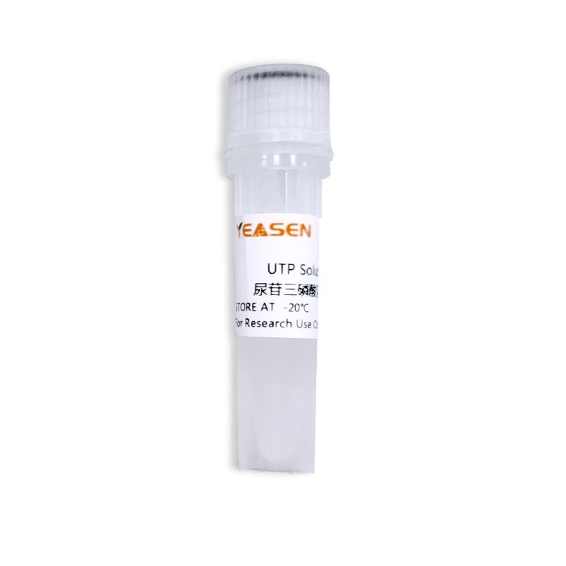 UTP Solution 尿苷三磷酸溶液（100 mM）