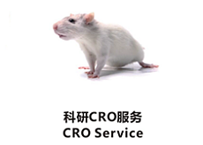 科研 CRO 服务