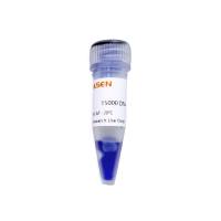 DNA Marker-GoldBand 15000 DNA Marker