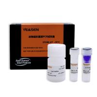 动物组织直接PCR试剂盒(含染料)  Animal Tissue Direct PCR Kit