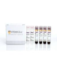 EasySep™ Direct HLA交叉配型T细胞分选试剂盒