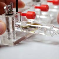 玻璃仓小型鱼类代谢检测系统