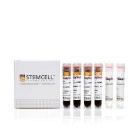 EasySep™ Direct单核细胞分选试剂盒