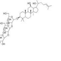 三七皂苷Ft1厂家