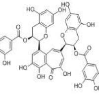 茶黄素-3,3'-双没食子酸33377-72-9价格