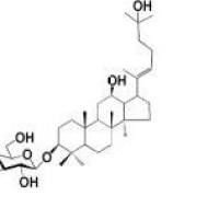拟人参皂苷Rh21370264-16-6折扣