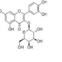 金丝桃苷482-36-0折扣