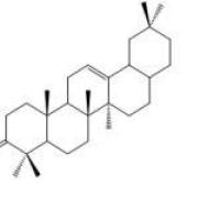 28-去甲基-β-香树脂酮73493-60-4厂家