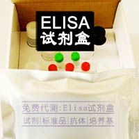 人（CTGF）Elisa试剂盒