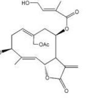 野马追内酯B877822-41-8厂家