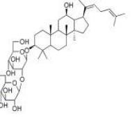 人参皂苷Rg5186763-78-0厂家