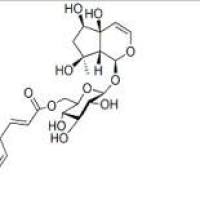 6'-O-肉桂酰基哈巴苷1245572-24-0价格
