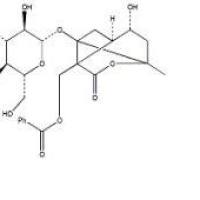 芍药内酯苷39011-90-0折扣
