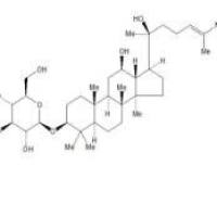 人参皂苷Rh2、20(S)-人参皂苷Rh278214-33-2价格