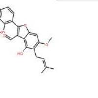 脱水淫羊藿素38226-86-7厂家