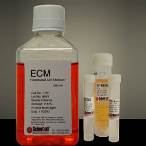 SC1001(ECM内皮细胞培养基)500ml