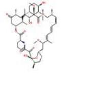 雷帕霉素53123-88-9厂家
