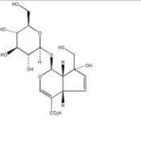 水晶兰苷5945-50-6包装