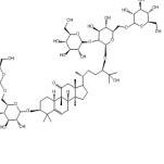 11-0-罗汉果苷V126105-11-1厂家