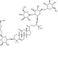 11-0-罗汉果苷V126105-11-1厂家