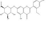 芹菜素-7-O-葡萄糖醛酸苷-6'-乙酯62268-42-2厂家