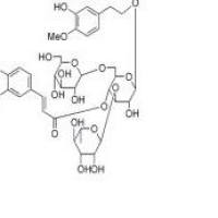 肉苁蓉苷A93236-42-1价格