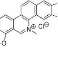 盐酸血根碱5578-73-4厂家