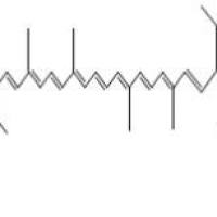 β-胡萝卜素7235-40-7折扣