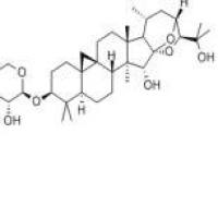 升麻醇-3-O-β-D-吡喃木糖苷27994-11-2价格