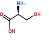 L-丝氨酸56-45-1价格