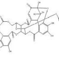 老鹳草素60976-49-0价格