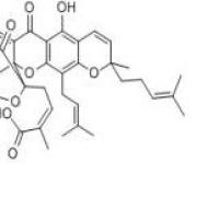 藤黄酸2752-65-0折扣