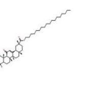 甘草次酸十八酯13832-70-7包装
