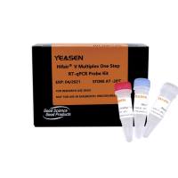 Hifair® V nCov多重定量PCR反应RT-qPCR试剂盒