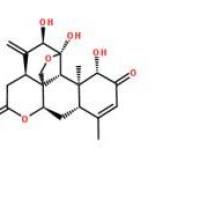 臭椿酮55290-63-6折扣