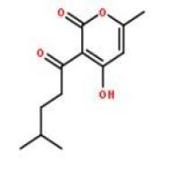 广藿香酮23800-56-8折扣