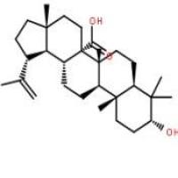 苦艾素198014-94-7厂家