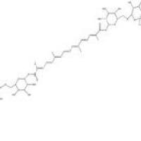 西红花苷I42553-65-1厂家