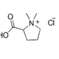 盐酸水苏碱4136-37-2厂家