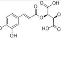 单咖啡酰洒石酸67879-58-7厂家