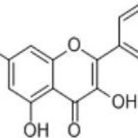 高良姜素548-83-4厂家