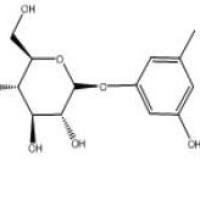 苔黑酚葡萄糖苷21082-33-7包装