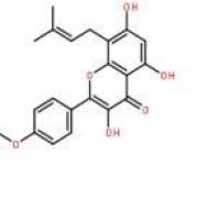 淫羊藿素118525-40-9包装