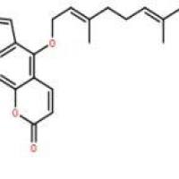 佛手柑素7380-40-7折扣